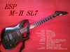 ESP M2 SL7.jpg